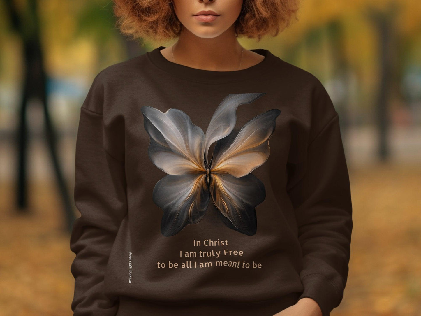 Walking Light's Inspirational Collection T-Shirt and Sweatshirt. Featuring Freedom In Christ. - Walking Lights